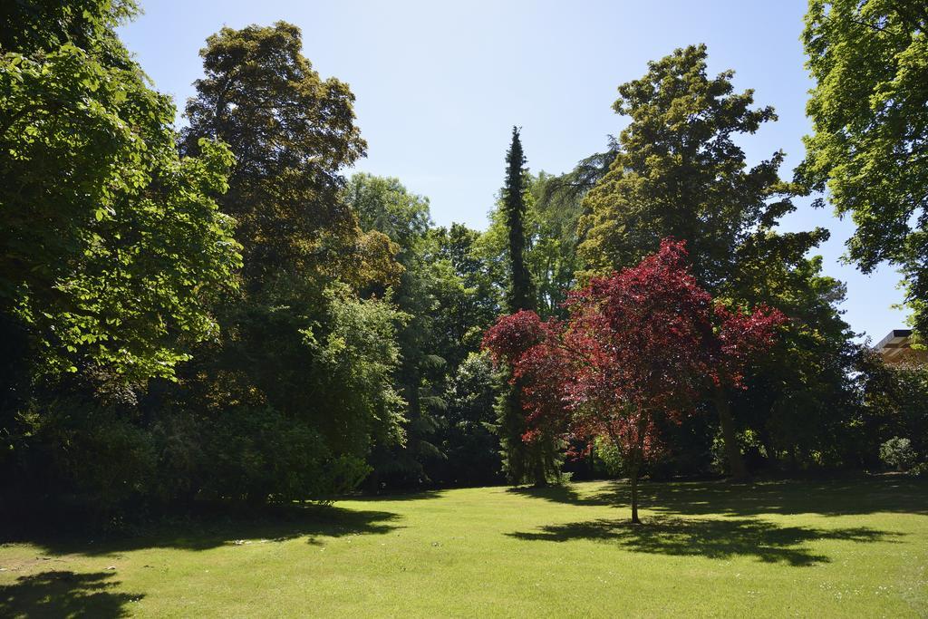 Le Chateau D'Hermonville B&B / Chambres D'Hotes Eksteriør bilde